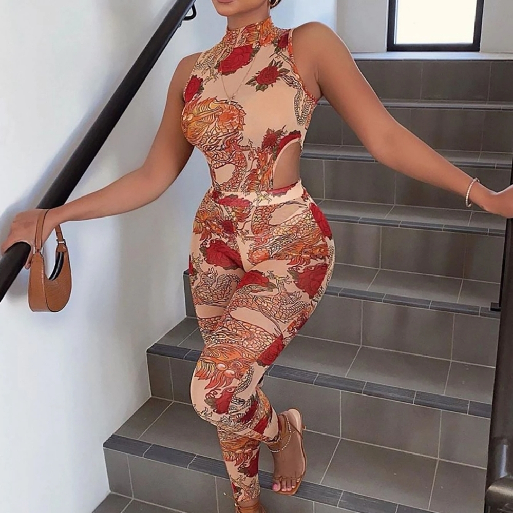 Mesh Dragon Print Jumpsuit.